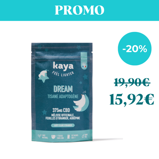 Tisana adattogena Dream 
